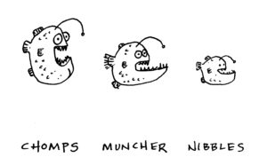 Chomps-Muncher-Nibbles